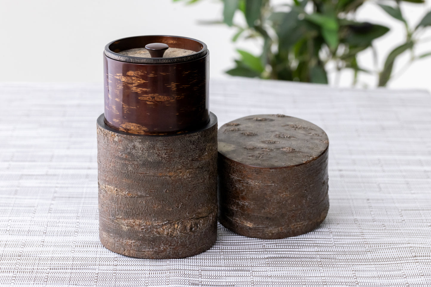 樺細工 抜樺一本茶筒